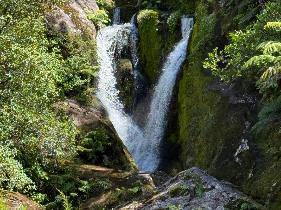 Abel Tasman Guides-玛拉豪必去景点