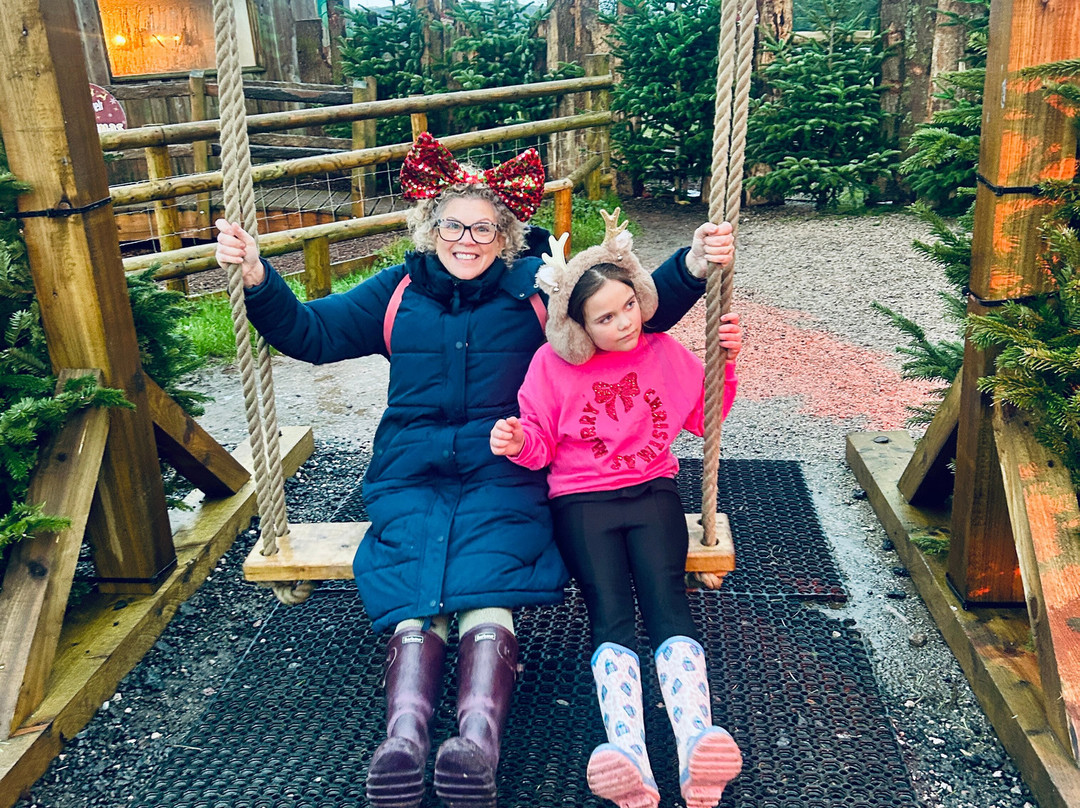 Pennywell Farm-Buckfastleigh必去景点