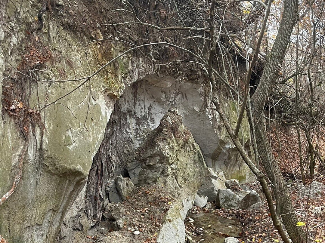 Petrified Forest Lefkimi