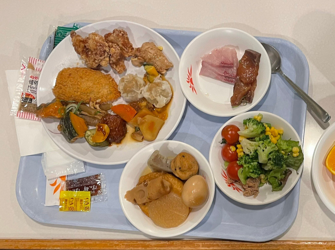 Ferry Sunflower-别府市必去景点