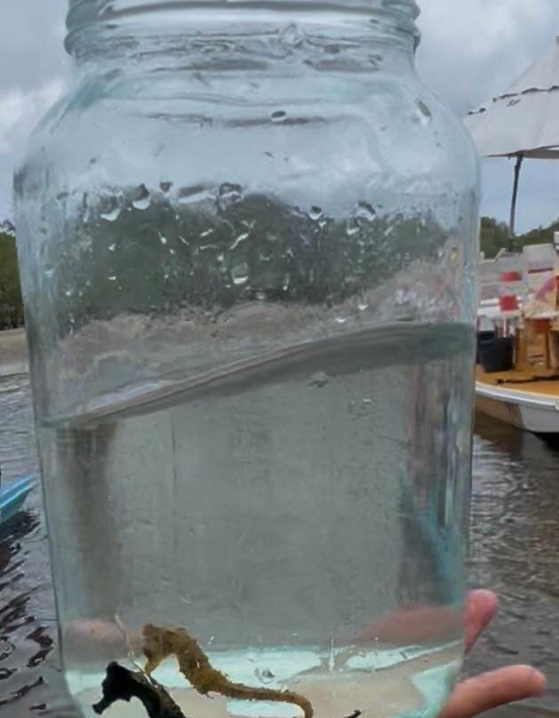 Pontal de Maracaipe-嘎林海斯港必去景点