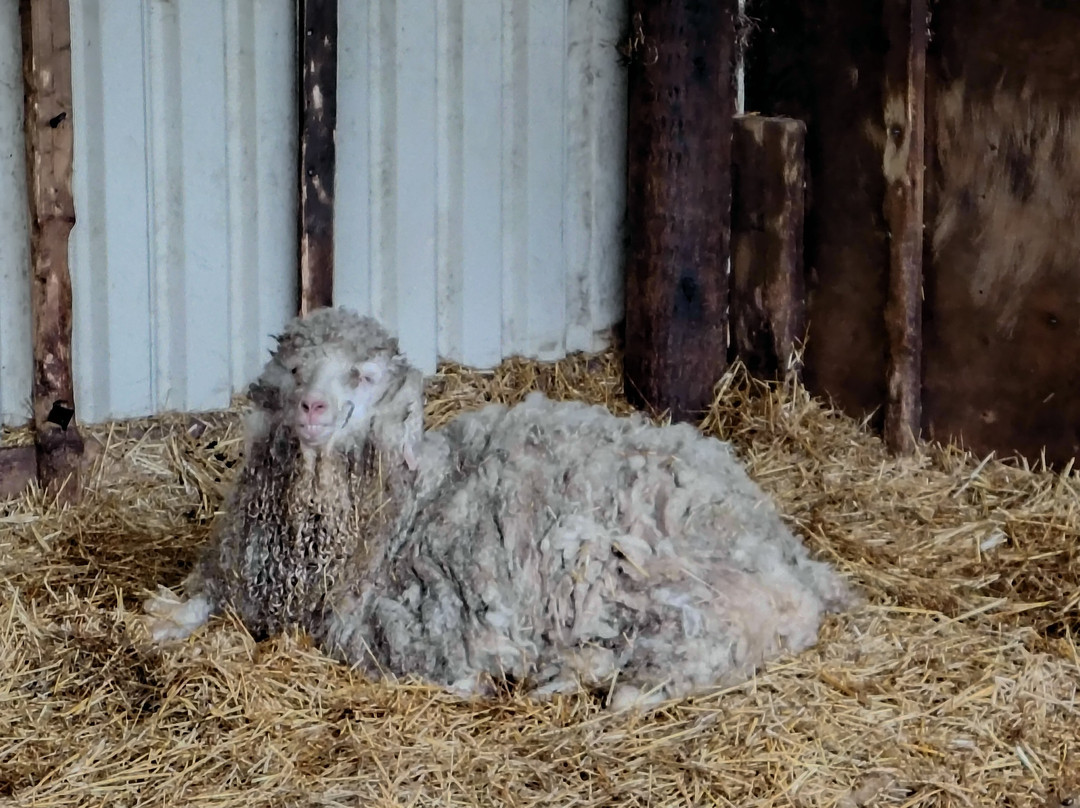 Thrift Farm-Whaddon必去景点