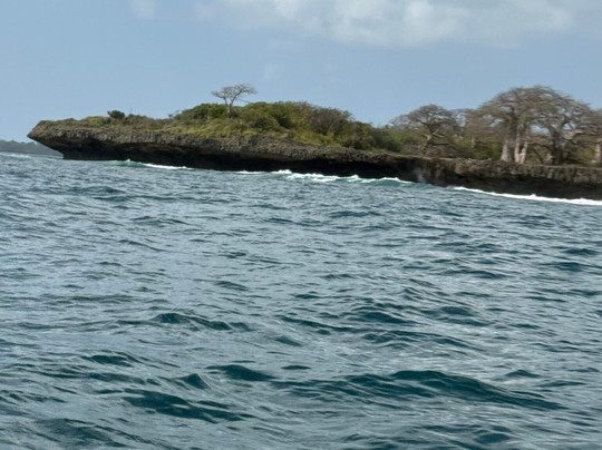 DALLOKY MAGNIFIQUES KENYA SAFARIS-蒙巴萨必去景点