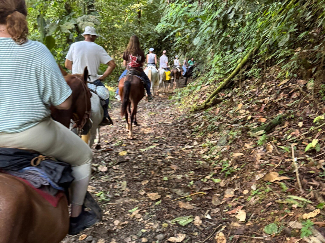 Brisas del Nara-哥斯达黎加安东尼奥国家公园必去景点