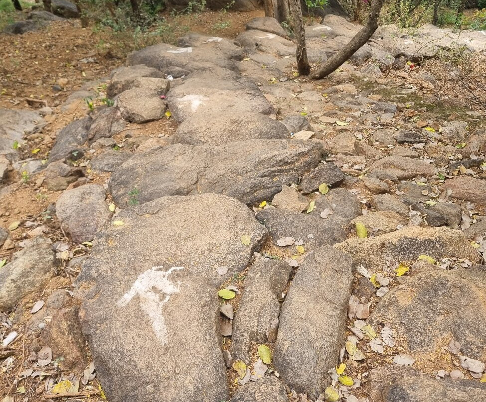Virupaksha Cave-Tiruvannamalai必去景点