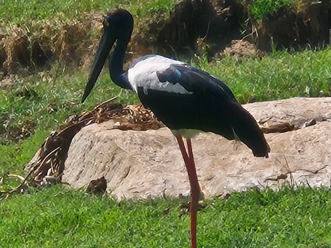 Manu Tours & Travels-亚洪加拉必去景点