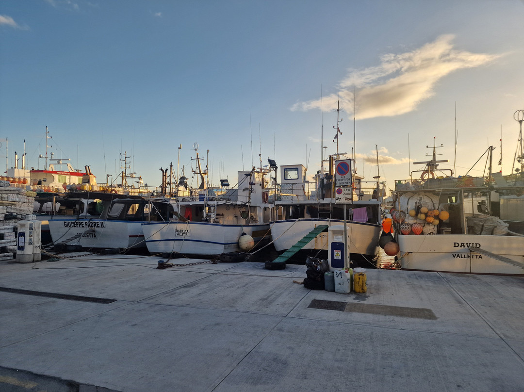 Marsaxlokk Market-Marsaxlokk必去景点