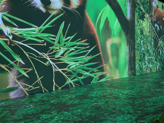 Zoo Wuppertal-伍珀塔尔必去景点