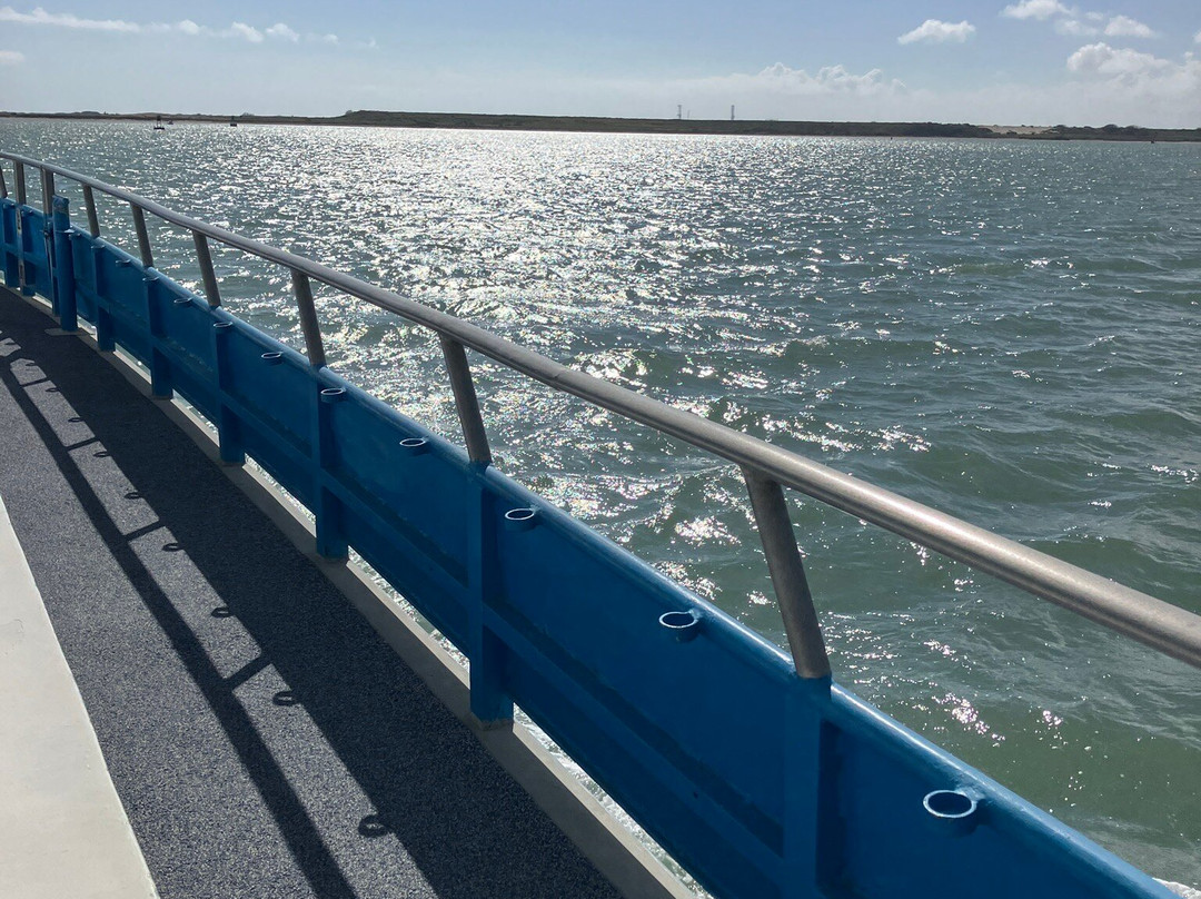 Osprey Cruises-Port Isabel必去景点