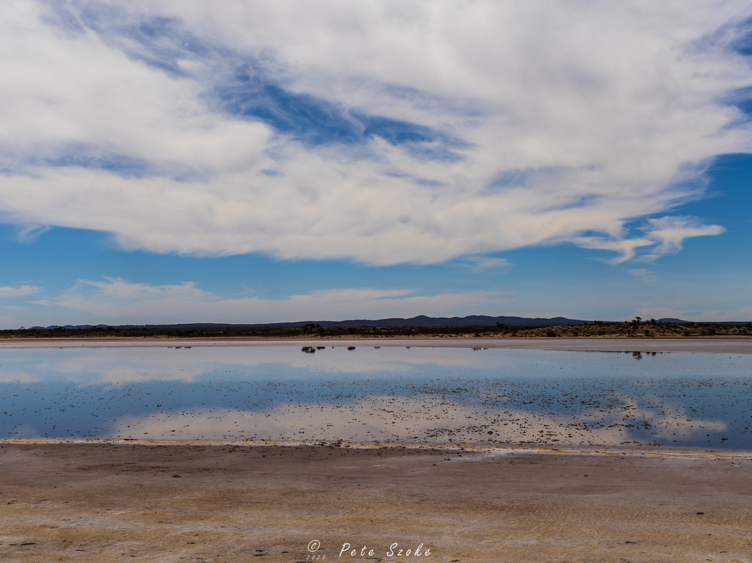 Lake Gilles Conservation Park
