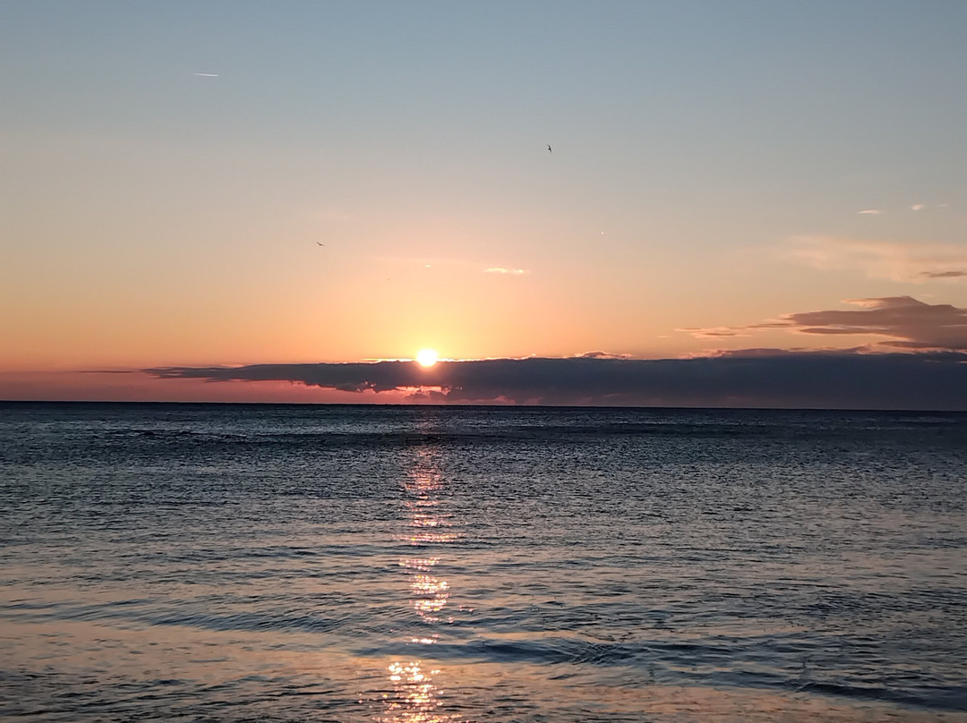 Hotel Villa Marina主图