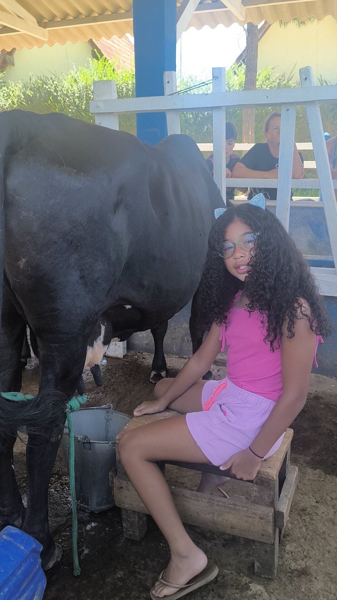 Hotel Fazenda Vista Alegre-官方