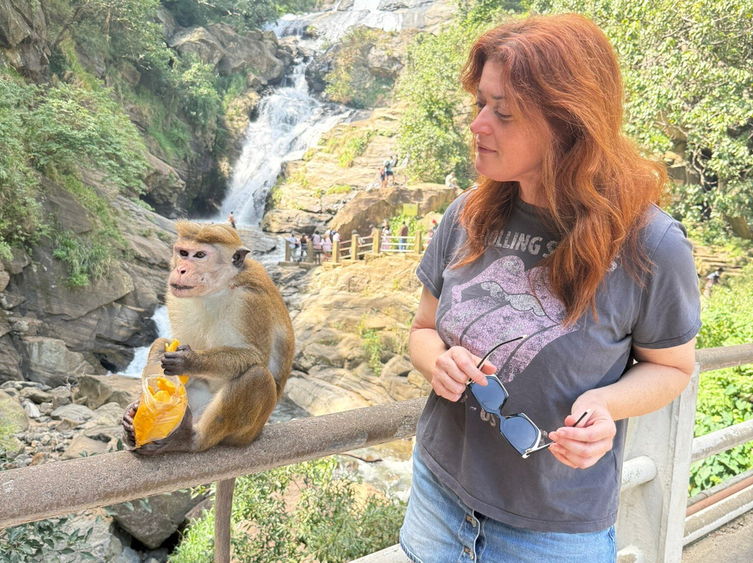 Holiday Travel Lanka-Wattala必去景点