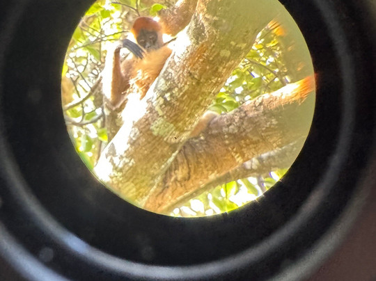 Costa Rica Adventure Club-塔马林多必去景点