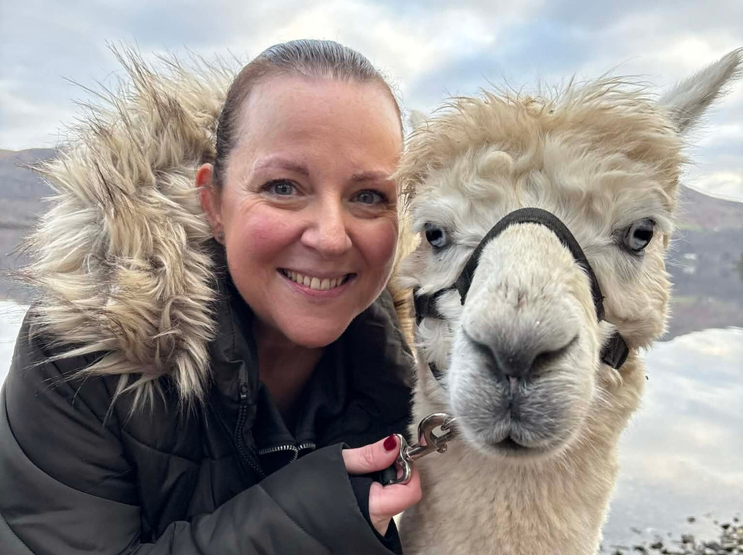 Alpacaly Ever After-Portinscale必去景点