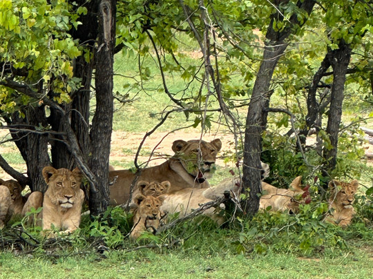 Nandzana Safaris-伐拉博瓦必去景点