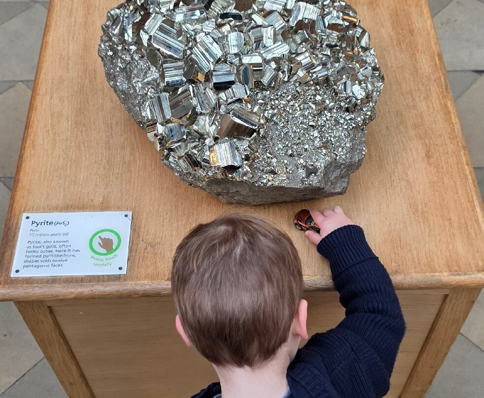 牛津大学自然历史博物馆-牛津必去景点