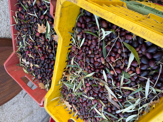 Turi Eccellenze dell'Etna-Randazzo必去景点