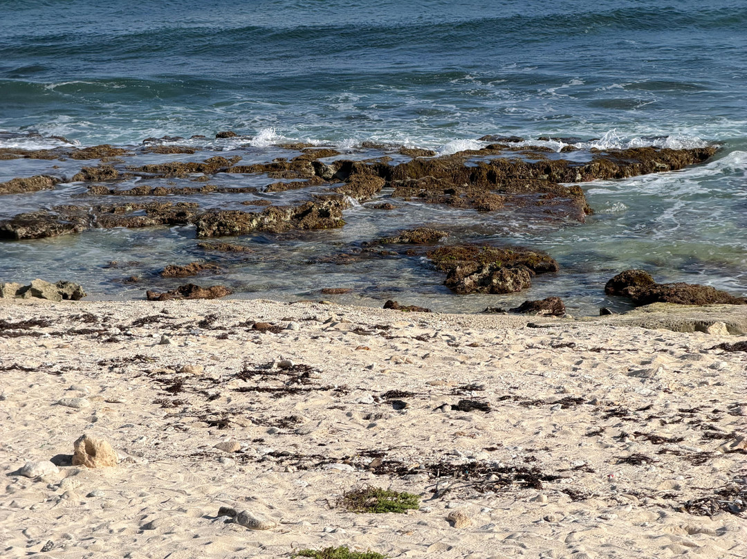 Tours by Milo-科托尔必去景点