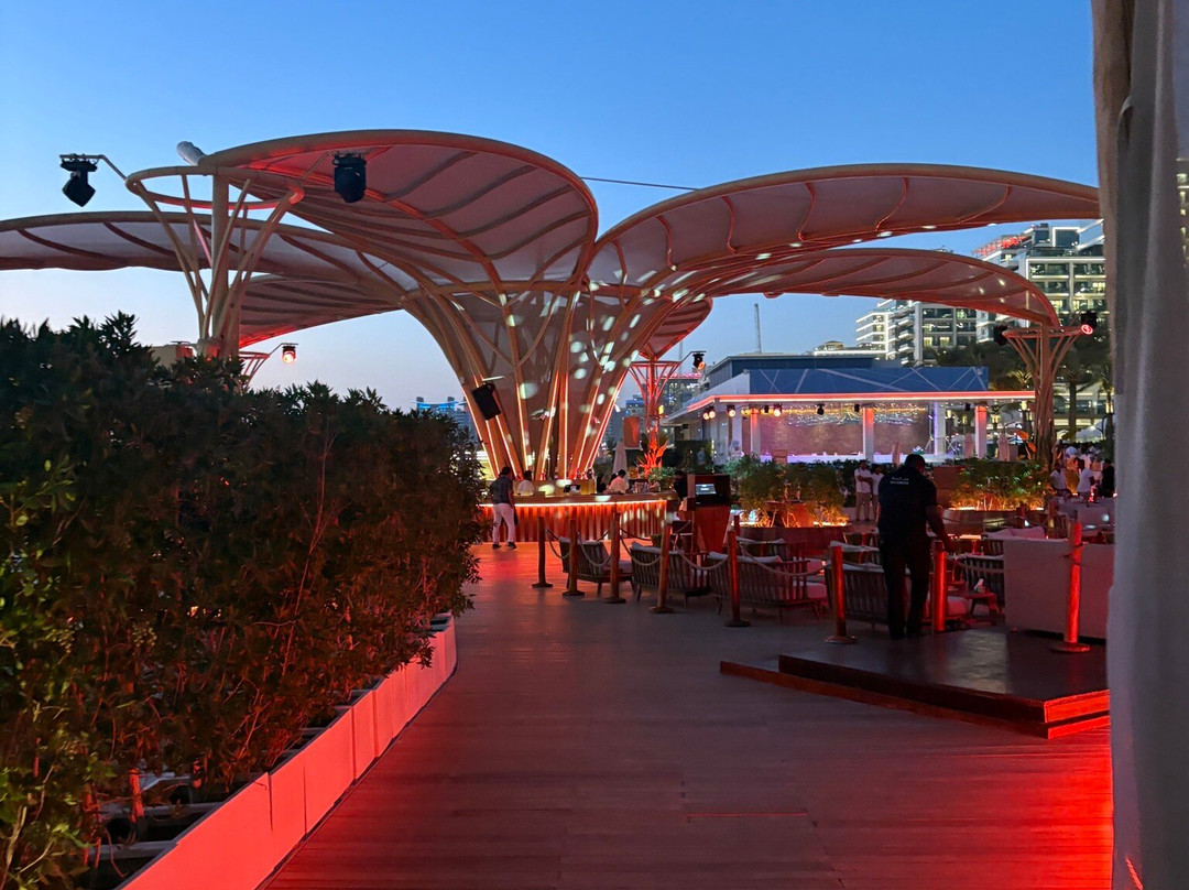 Bohemia Beach Club-迪拜必去景点