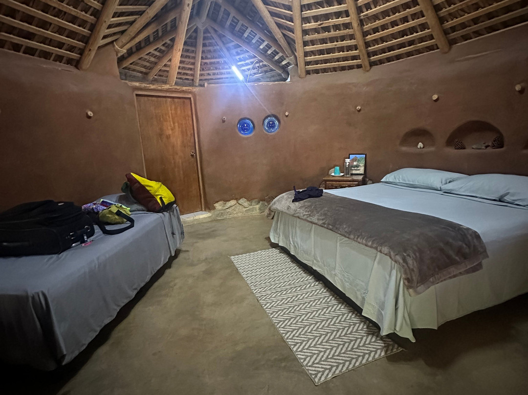 Cabo Pulmo Eco Adventures-Cabo Pulmo必去景点