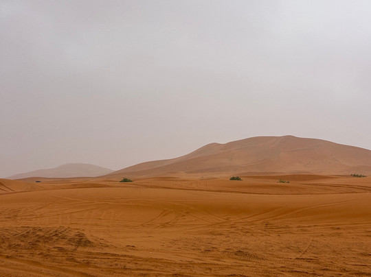 Private Morocco Driver-马拉喀什必去景点