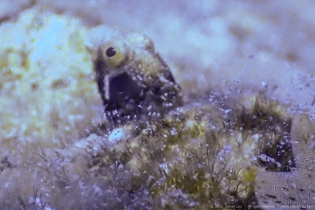 Letifish-Aventure-Pointe-Noire必去景点