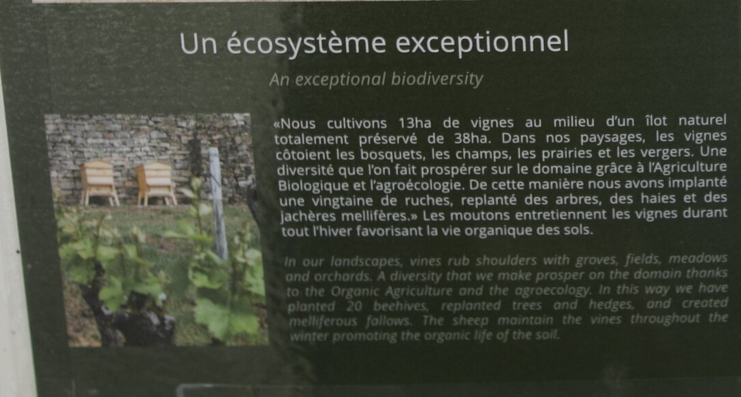 Château De Rougeon-Bissey-sous-Cruchaud必去景点