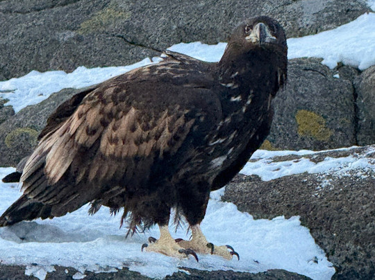 Go2Lofoten-斯沃尔韦尔必去景点