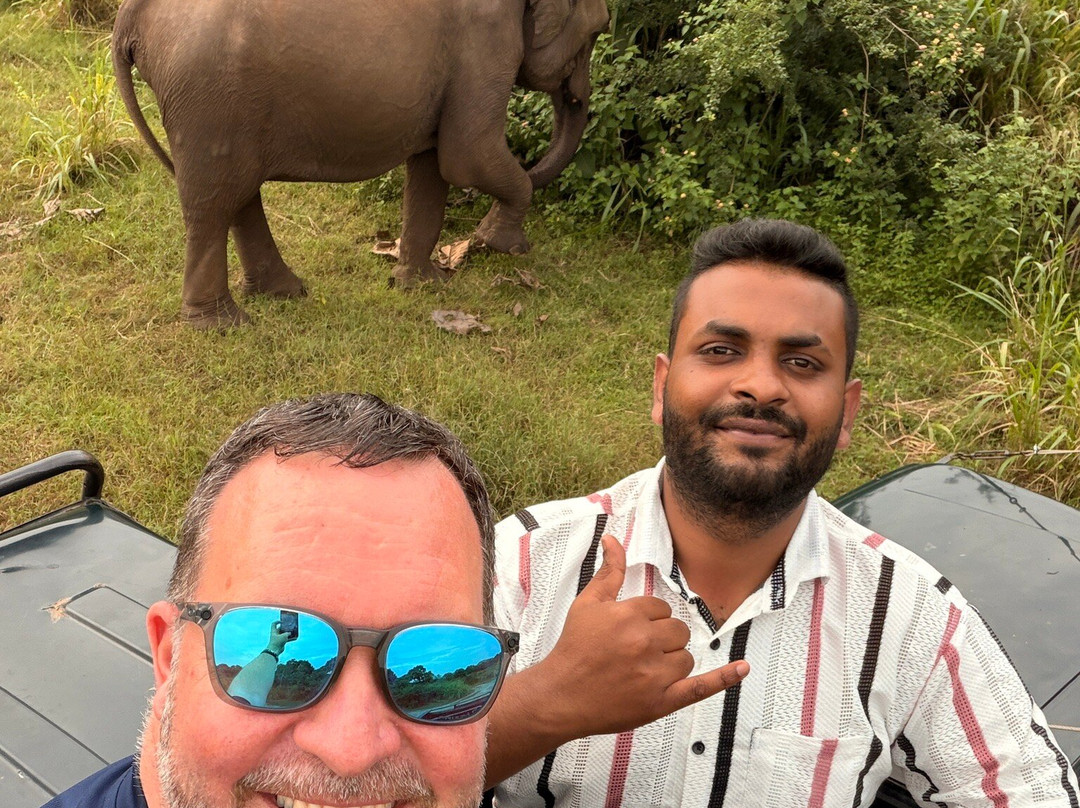 Lanka Tour Driver-Hingurakgoda必去景点