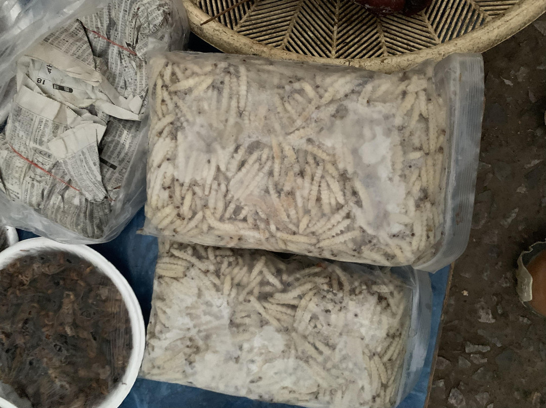 早市-琅勃拉邦必去景点