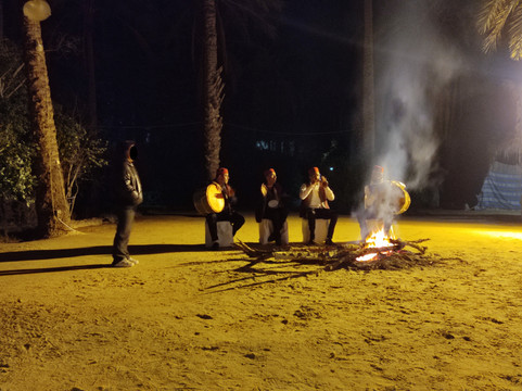 Eden Palm Tresors de l'Oasis-吐泽尔必去景点