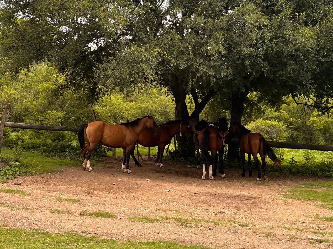 Cabalgatas Gauchas-萨尔塔必去景点