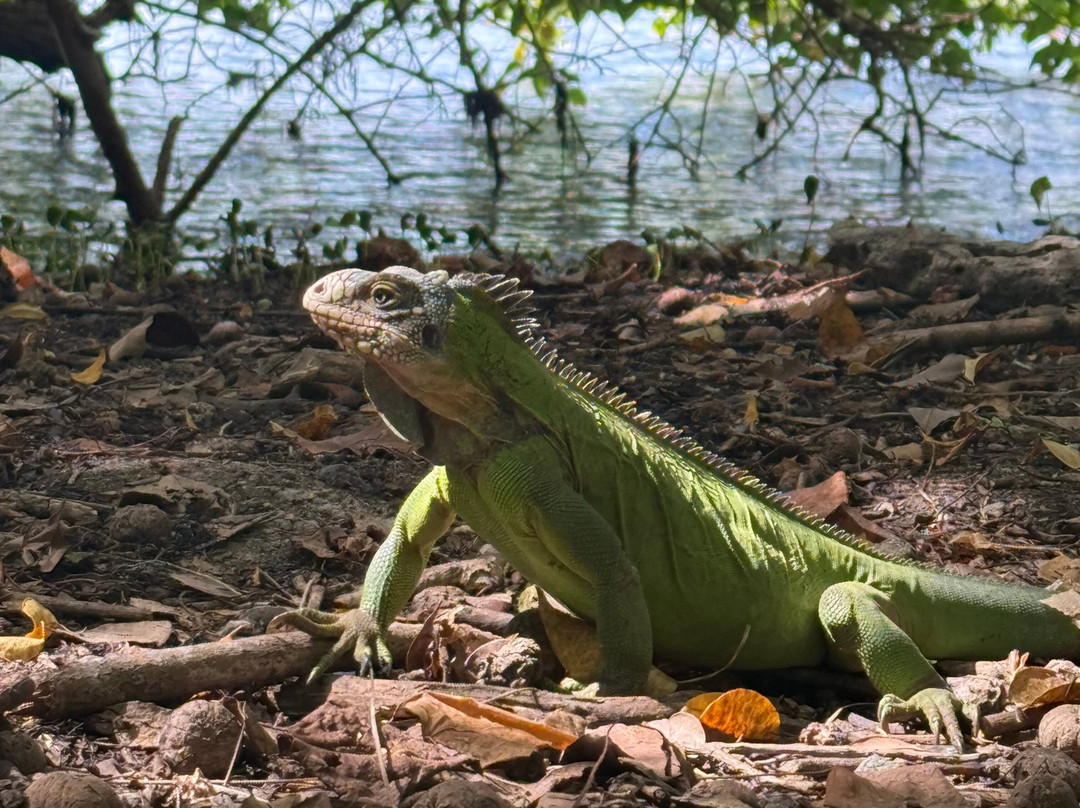 Balade du Soleil-Le Francois必去景点