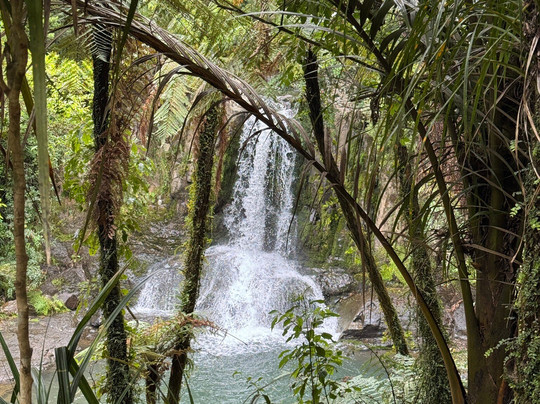 Waiau Falls Walk-Waiau必去景点
