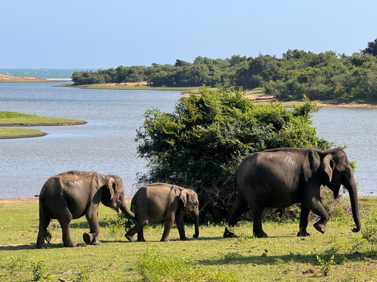 Freedom Safari Jeep Tours-蒂瑟默哈拉默必去景点