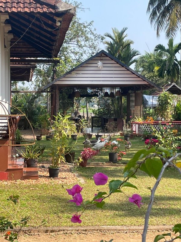 Kurialacherry House-浴室