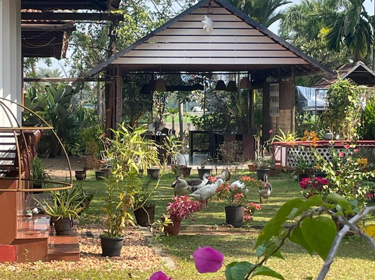 Kurialacherry House主图