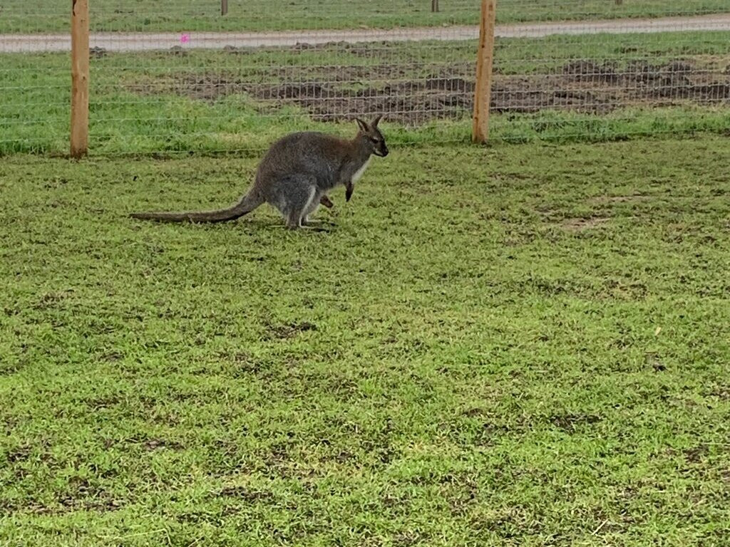 Monk Park Farm-Bagby必去景点