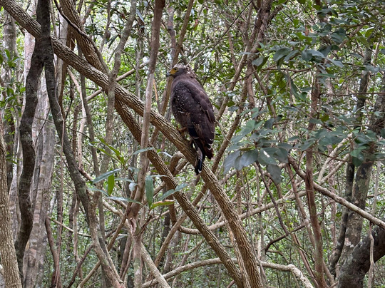 Sweet Home – Wilpattu Safari (Shared & Private), Traditional Cooking Classes, Tours & Homestay-阿努拉德普勒圣城必去景点