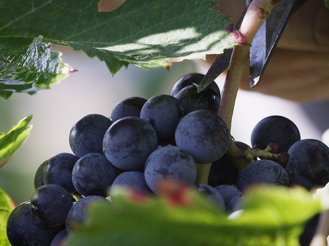 Fantinel-Spilimbergo必去景点