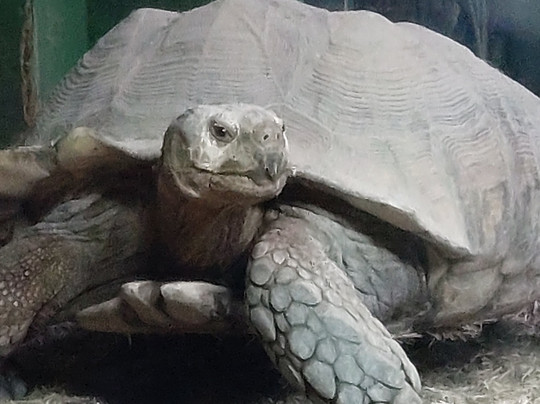 Shepreth Wildlife Park-Shepreth必去景点