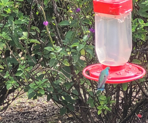 Highland Birds Tours-多塔圣赫拉多必去景点