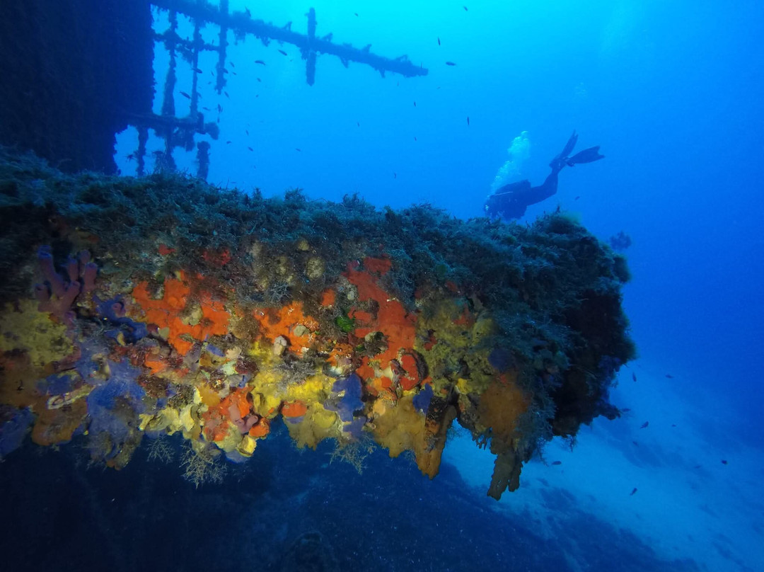 Gorgonia Diving-Acherounes必去景点