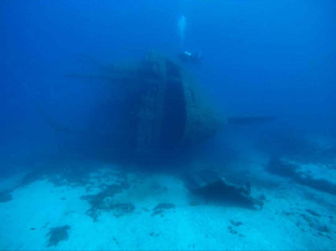 Gorgonia Diving-Acherounes必去景点