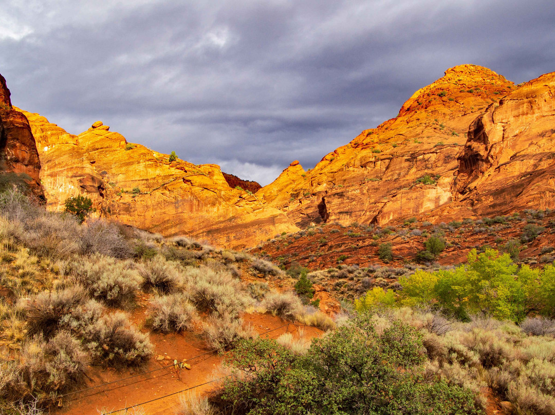 Red Cliffs National Conservation Area-圣乔治必去景点