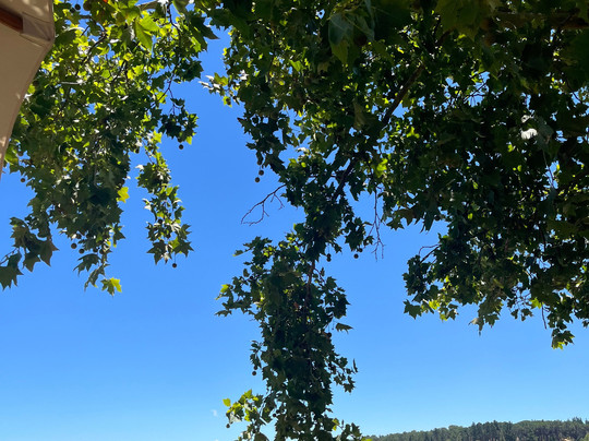 Lanzerac Wine Estate-斯泰伦博斯必去景点