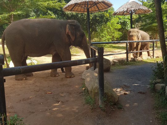 查汶海滩-查汶海滩必去景点