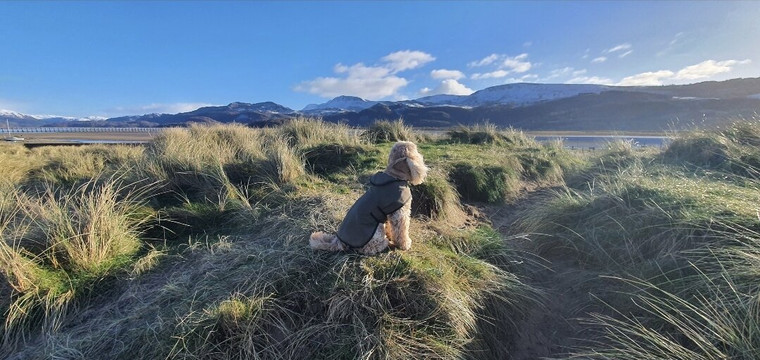 The Royal Ship Hotel主图