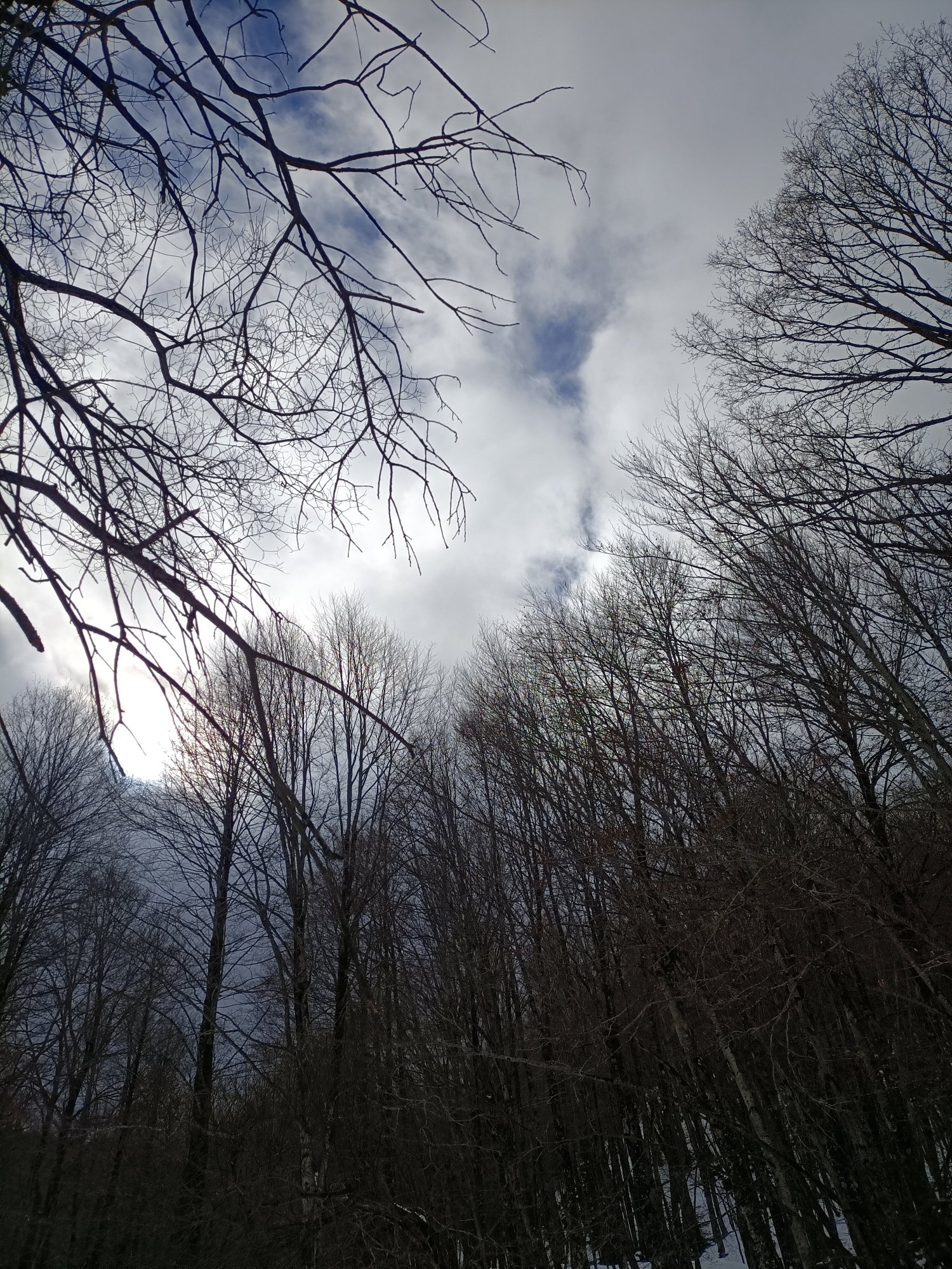 Hotel Pino Loricato-官方